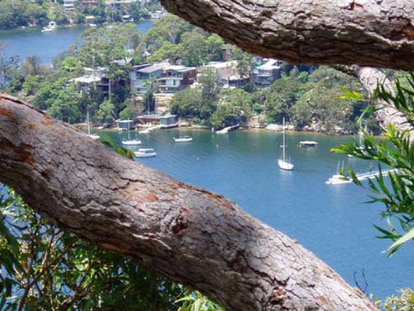 Sydney Roof serves Middle Cove 2204 Sydney NSW roofing repairs sydney